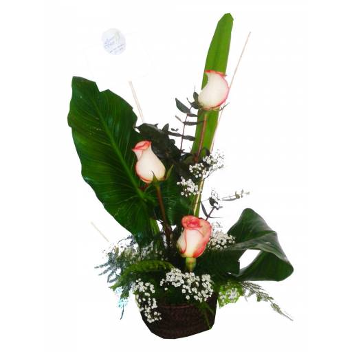 Canastita con 3 Rosas Premium
