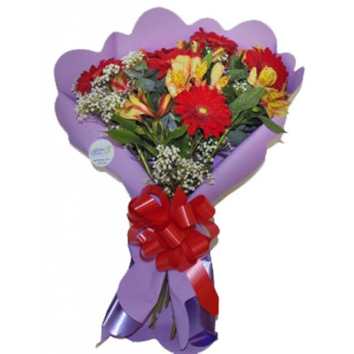 Ramo de 6 Gerberas y 6 Astromelias