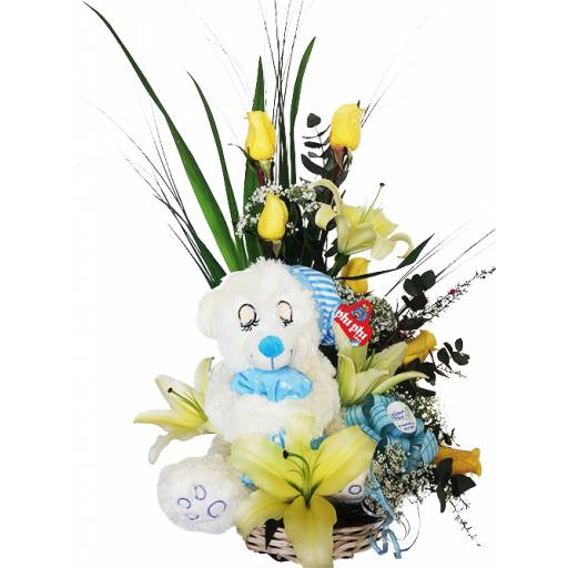 Nacimiento Con Peluche Dormilón