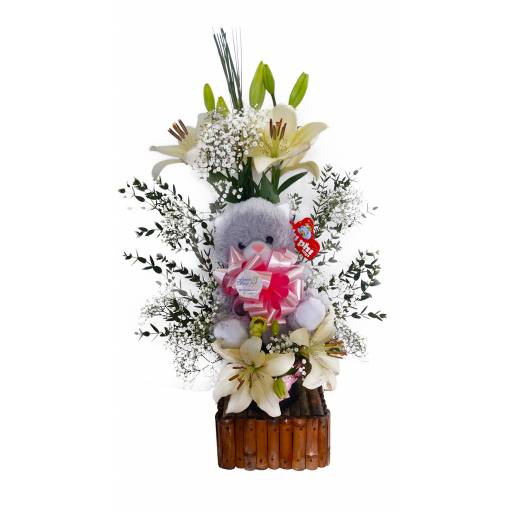 Bienvenida de Liliums