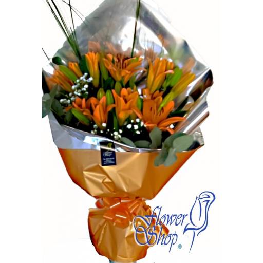Belleza de 6 Liliums.